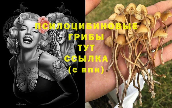 стафф Осташков