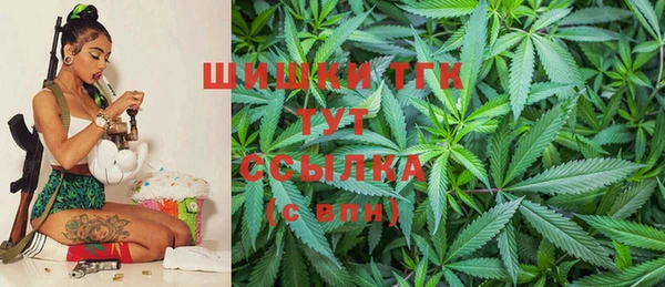 стафф Осташков
