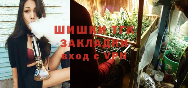 стафф Осташков