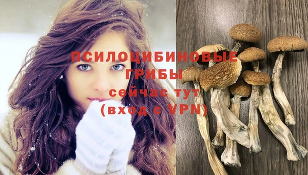 mdma Осинники