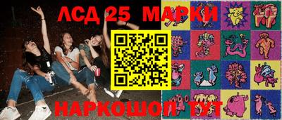 мдма Кингисепп