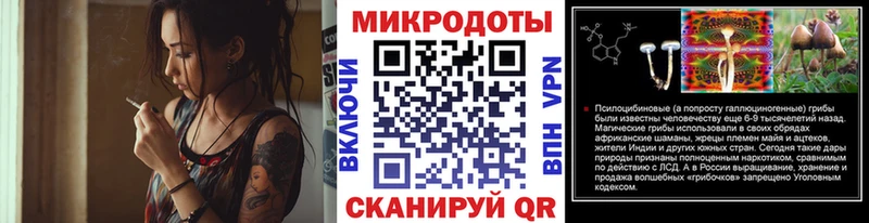 KRAKEN зеркало  Тара  Галлюциногенные грибы ЛСД 