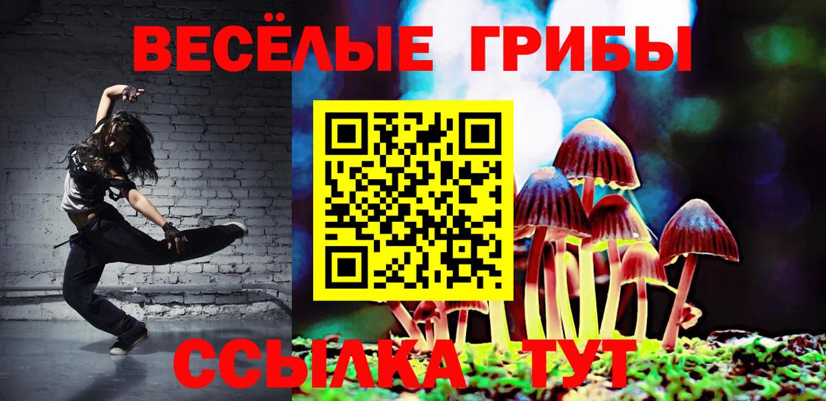 Галлюциногенные грибы прущие грибы Тара